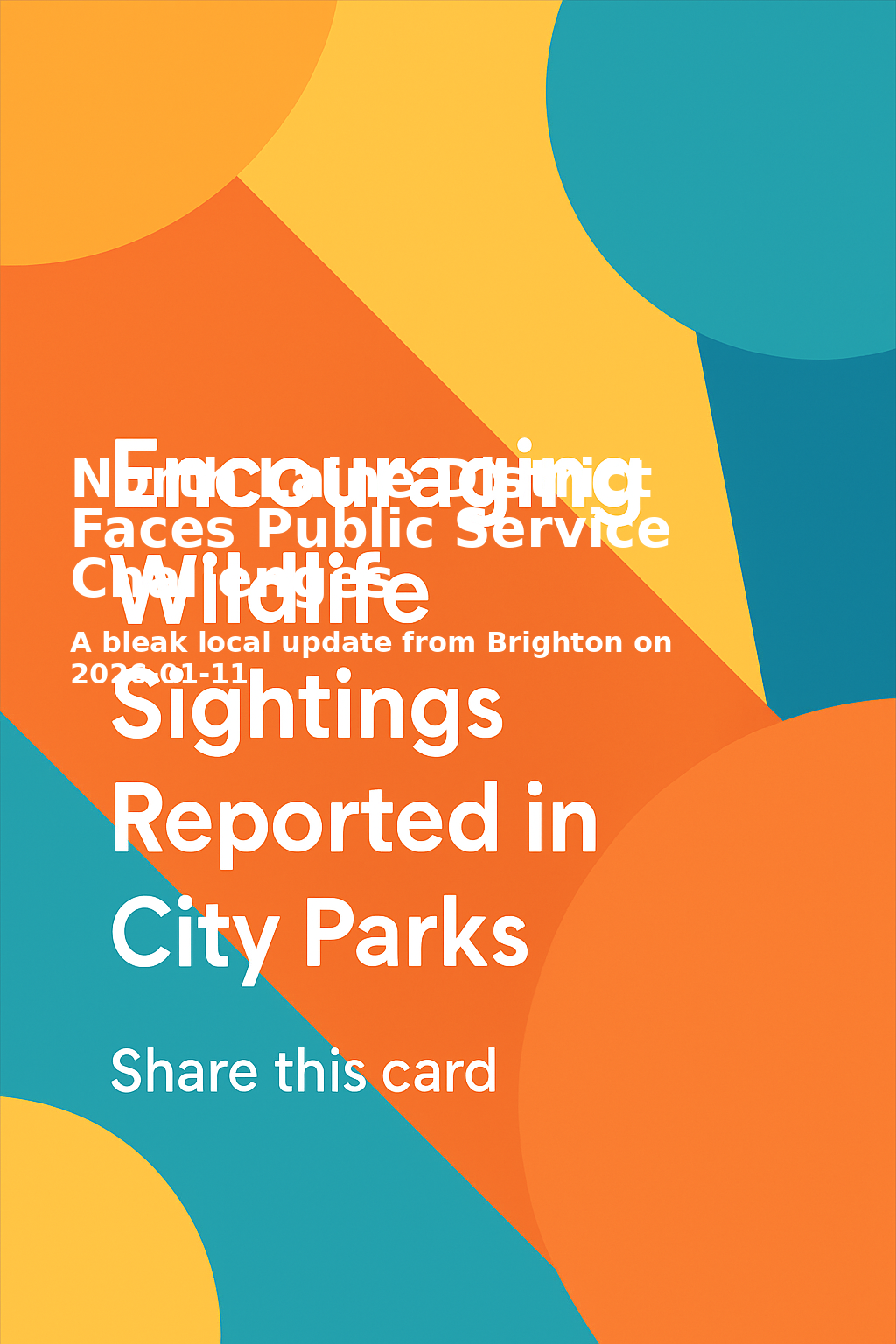 Share card for North Laine District Faces Public Service Challenges
