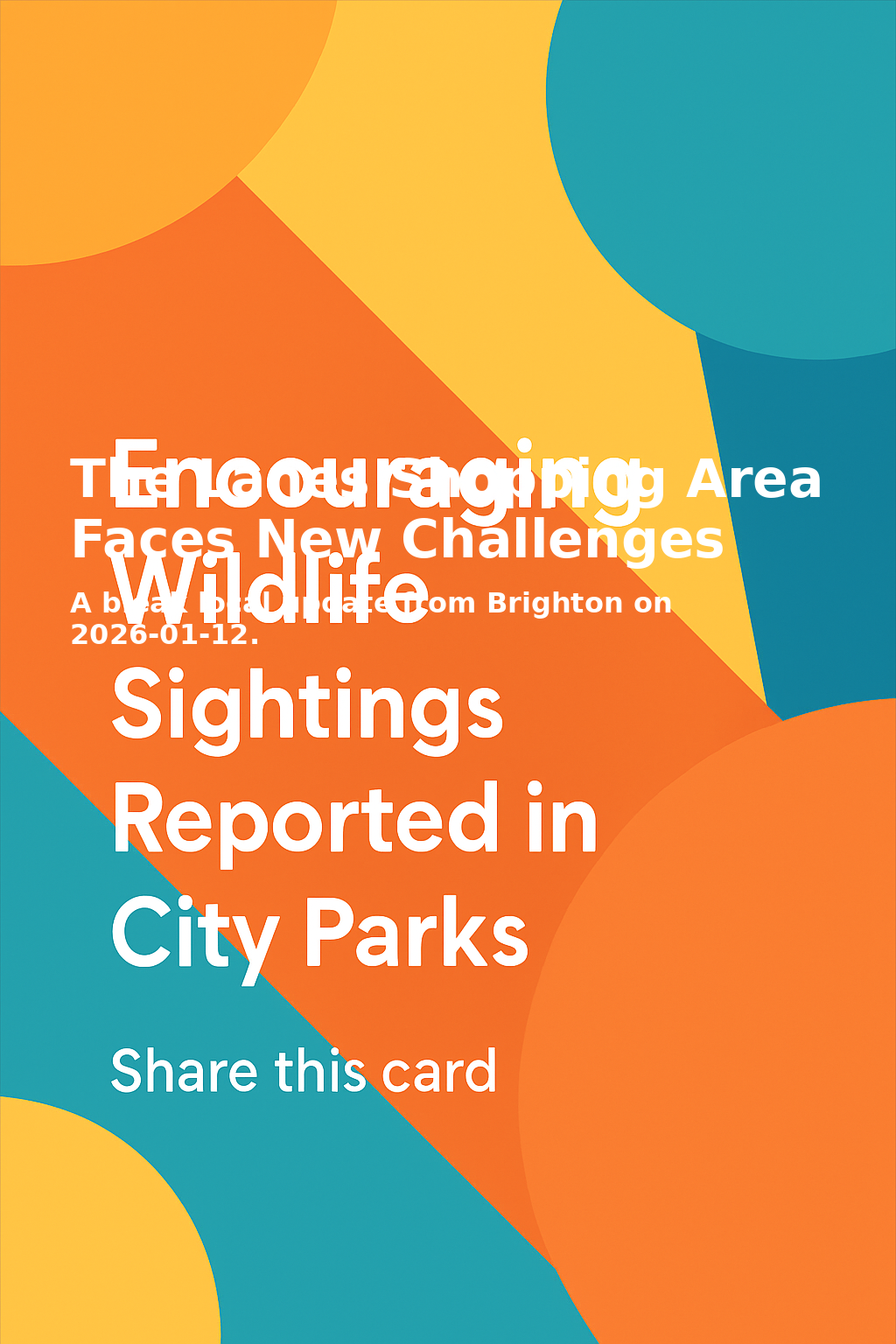 Share card for The Lanes Shopping Area Faces New Challenges